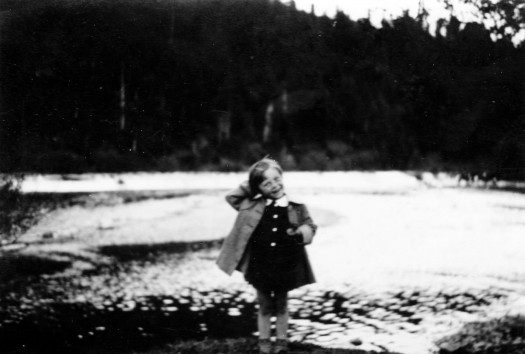 Vavi pe malul Ariesului (2)