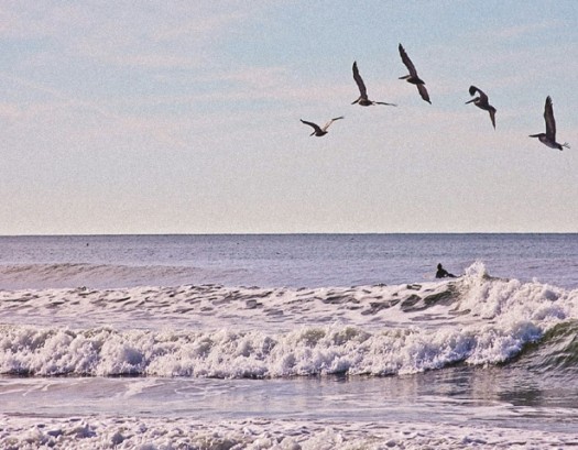 coperta popasuri_text negru_Page_1_Image_0001 [640x480]