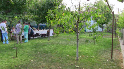 foto secundar (33) - Copy [640x480]