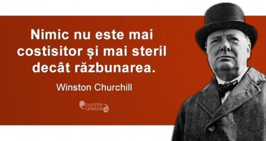 Citat-Winston-Churchill.fw_2-638x338