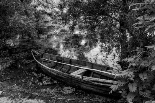 Danubio124 [640x480]