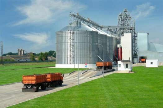 64556910_w640_h640_6713