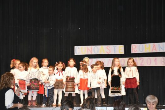 img-20161127-wa0060-800x600