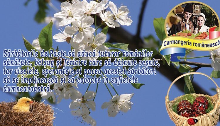 paste fericit carmangeria romaneasca [800×600]